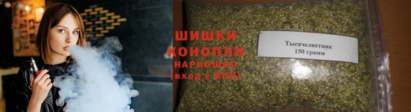 spice Алексин