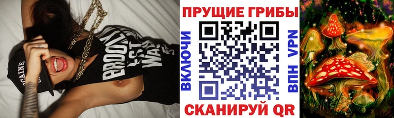 Галлюциногенные грибы Psilocybine cubensis  Кореновск 