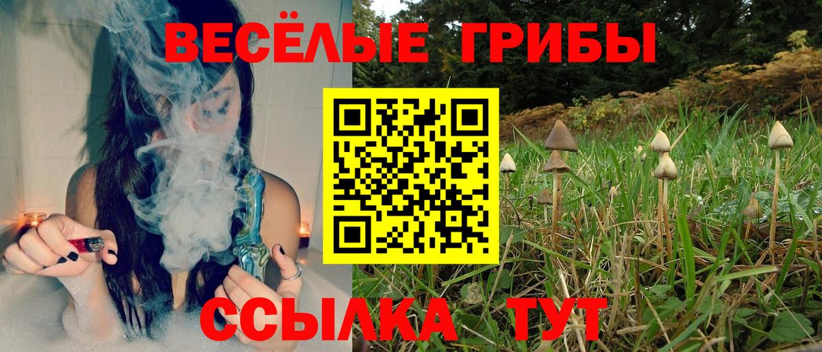 Псилоцибиновые грибы ЛСД Кореновск