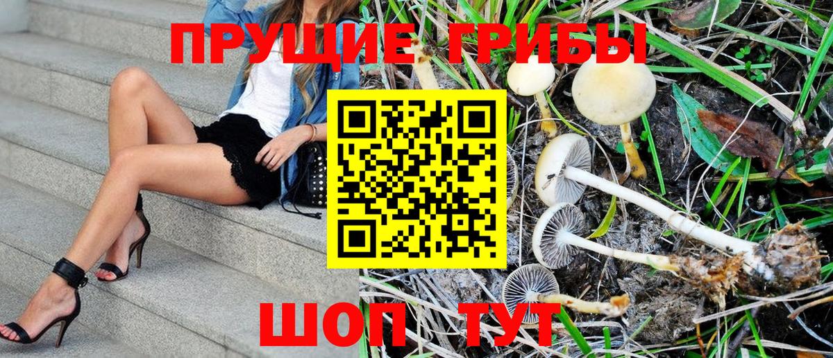 Псилоцибиновые грибы прущие грибы  Вход с VPN  Псилоцибиновые грибы MAGIC MUSHROOMS  Кореновск 
